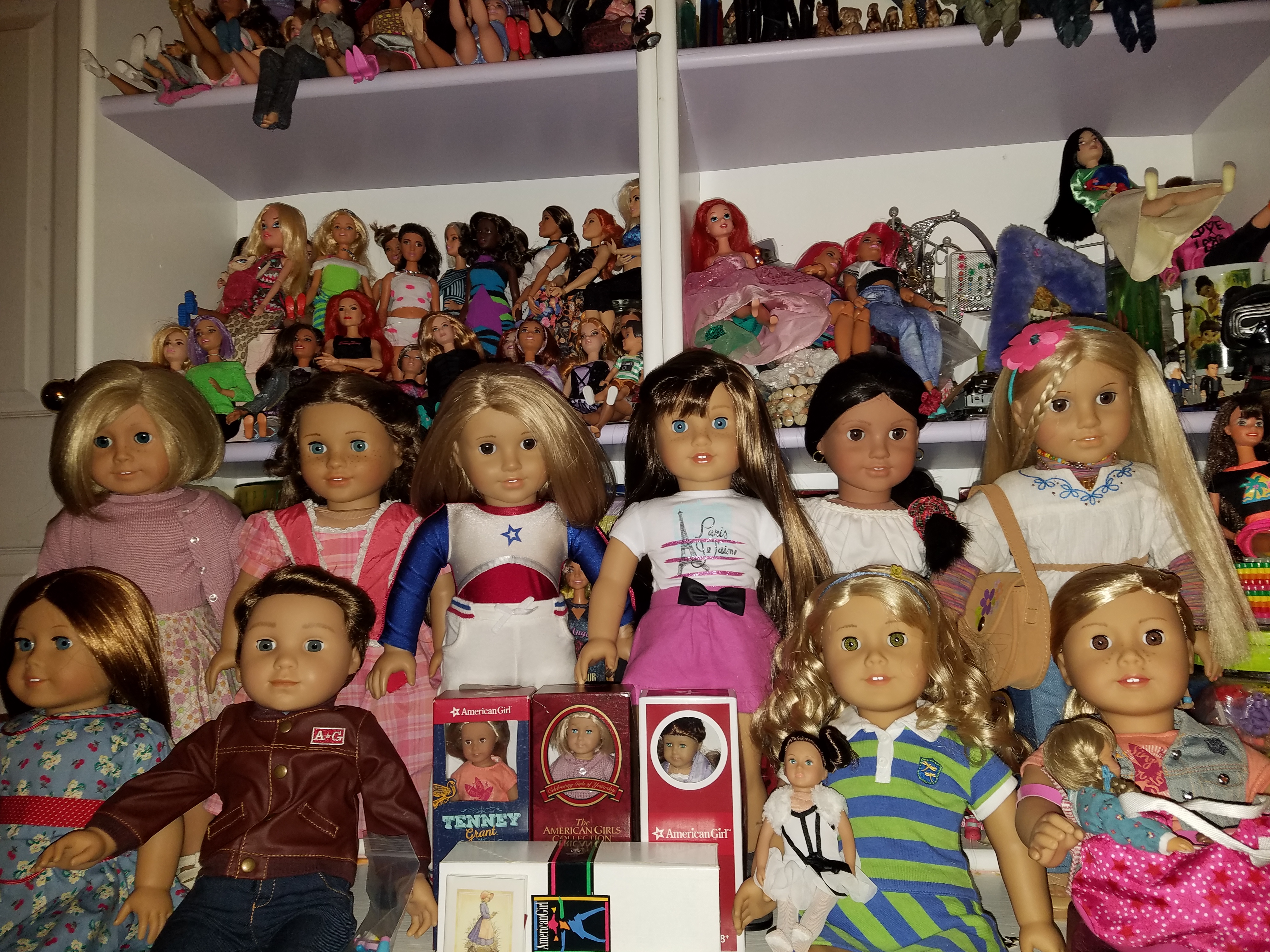 Two rows of American Girl dolls with varying hair colors, posed in front of shelves of various Barbie dolls and other twelve inch fashion dolls.